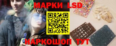 гидра Будённовск