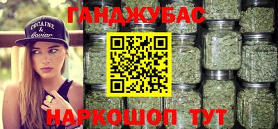 гидра Будённовск