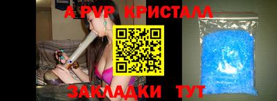 гидра Будённовск